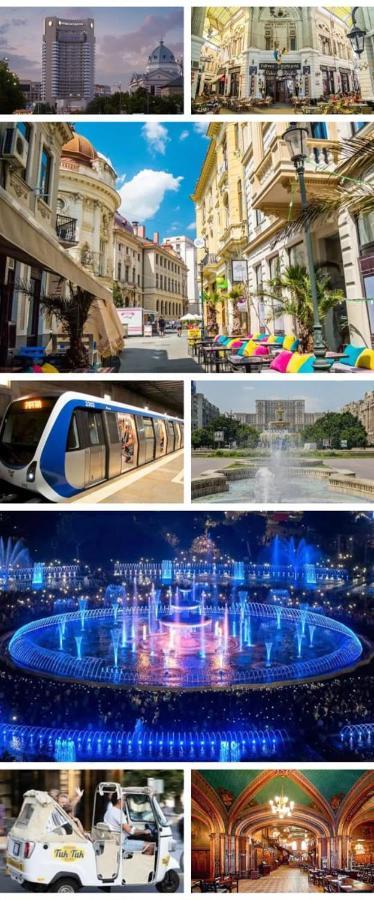 Chic Studio Old City Center - Ivo19 布加勒斯特 外观 照片